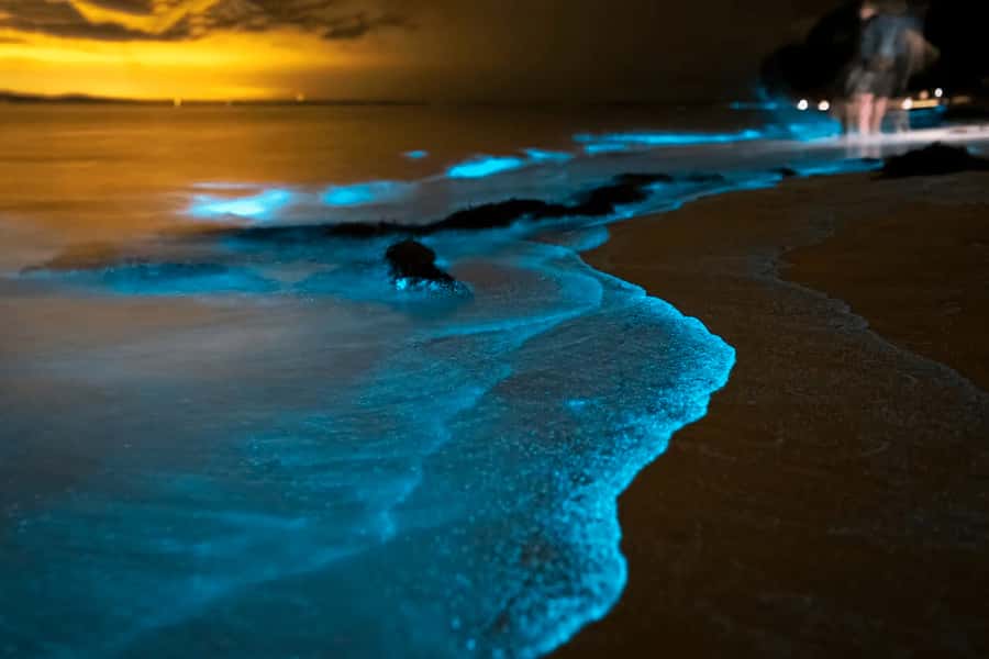 Phuket: Phang Nga Bay Bioluminescent Plankton and Sea Canoes - Panak Island and the first cave