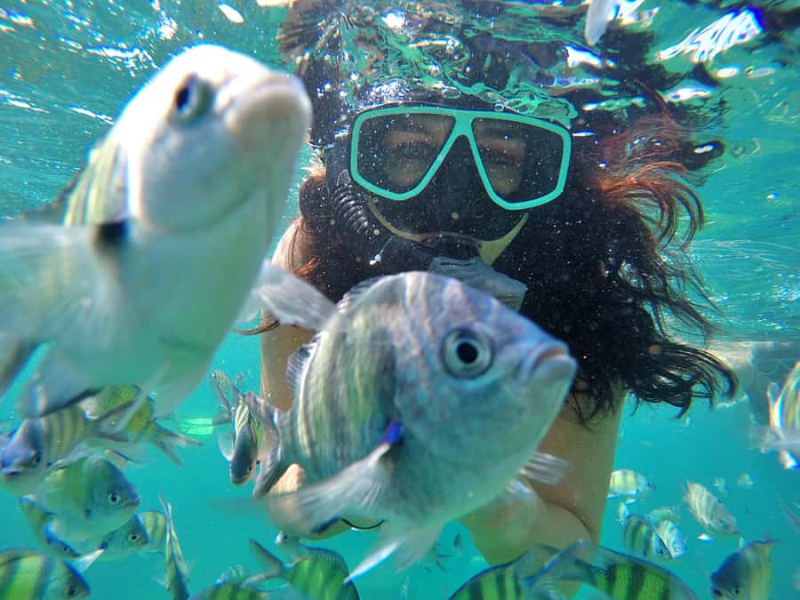 Phuket: Phi Phi & James Bond Island Combo Day Tour w/Lunch - The early start at Royal Phuket Marina