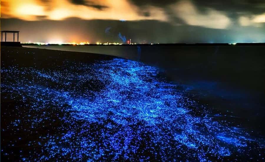 Phuket : Twilight Sea Canoe Tour with Glowing Plankton - Why the twilight hour makes this tour different