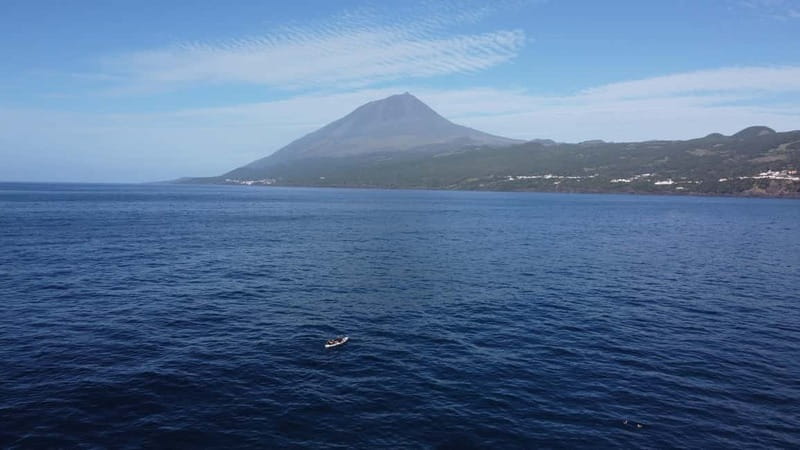 Pico island: guided kayak and snorkel tour - Entering the volcanic crater