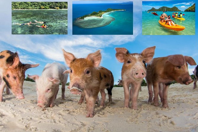 Pig Island Experience By Speed Boat, Snorkeling, Kayaking Relaxing on the Beach - Key points to know before you book
