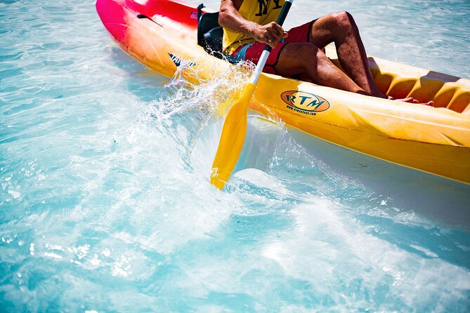 Pinel Island Adventure: Tandem Kayak Experience - What makes the wildlife advice useful