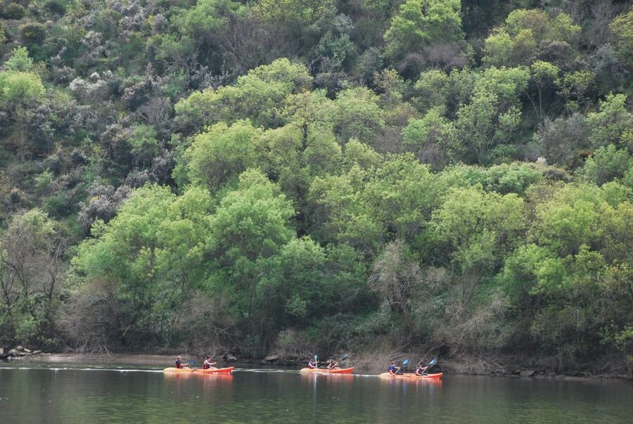 Pinhão: 4 Hour Douro Valley Kayak Rental - Key points to know before you paddle