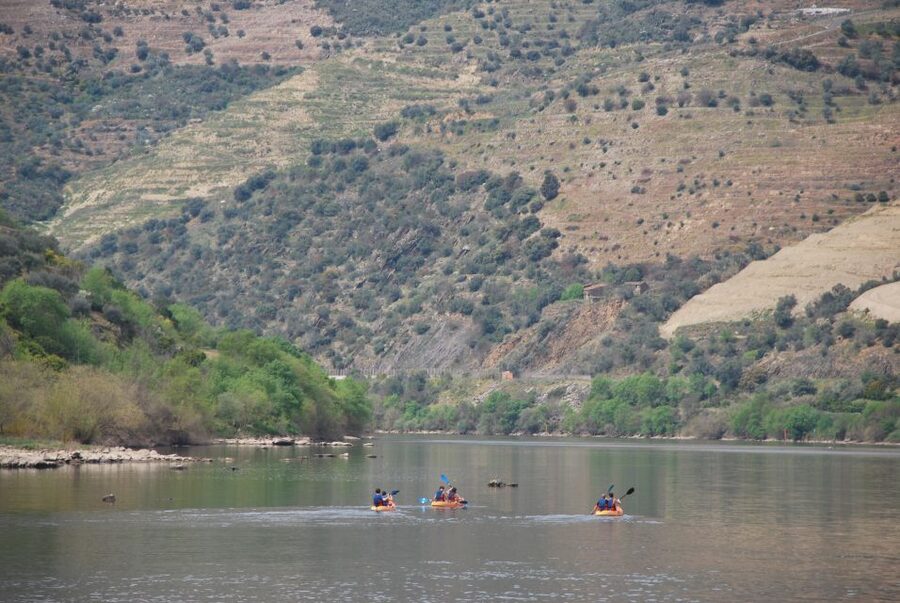 Pinhão: 4 Hour Douro Valley Kayak Rental - How the price compares with the experience