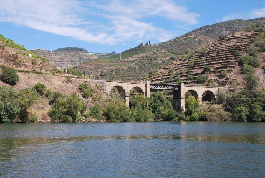 Pinhão: Douro Valley Rabelo Boat Tour and Kayak Experience - A Traditional Boat Ride With Time to Look Around