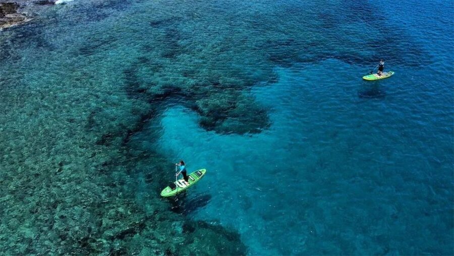 Playa Blanca: Stand up paddle class for beginners - What the instructors do well