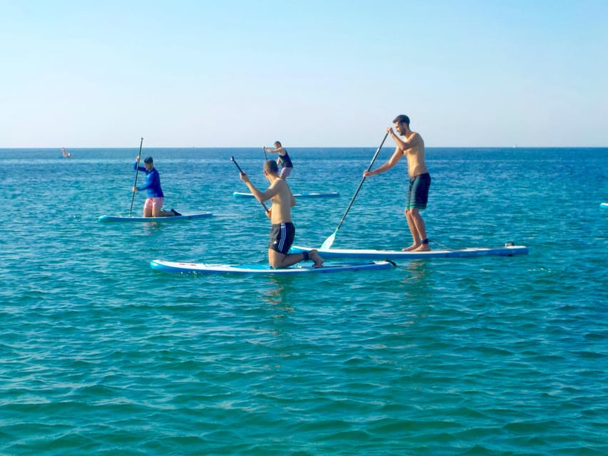 Playa Palma: Stand-up Paddleboard Rental - What the strong ratings suggest about the experience