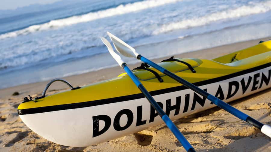 Plettenberg Bay: Guided Sea Kayak Tour - What the two-hour sea kayak trip is really like
