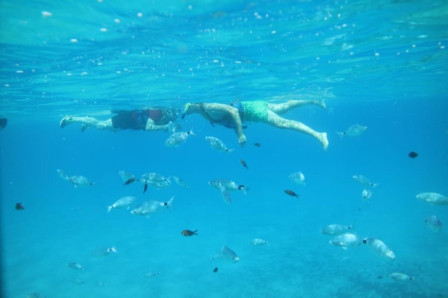 Pollença: Kayak and Coasteering Cliff Jumping - Should you book the Cala Sant Vicenç adventure?