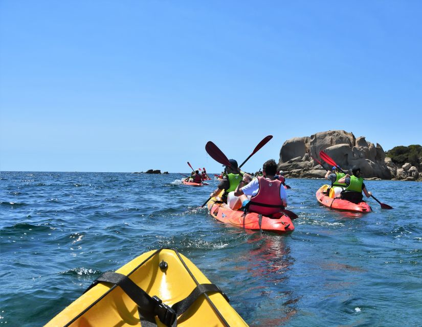Porticcio: Guiding Kayaking Tour - Why this kayak trip works well near Porticcio