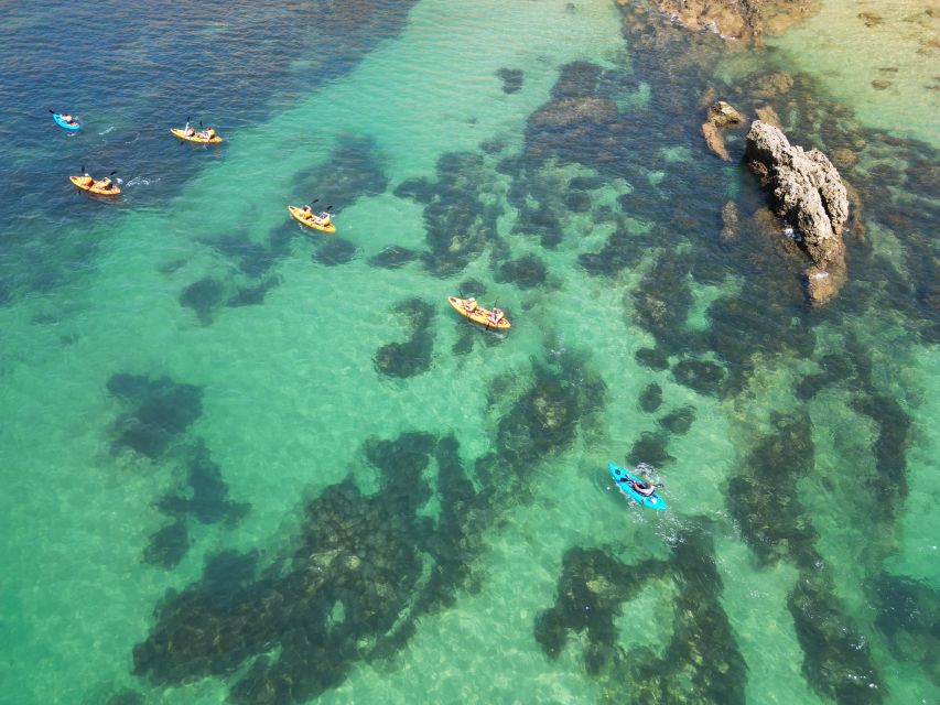 Portimão: Small Group Kayak Cave and Cliff Tour - Should you book this Portimão kayak tour?
