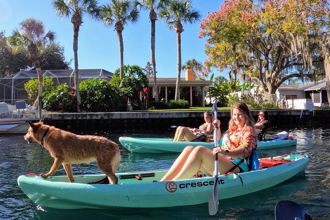 Premium Single Kayak Rental In Crystal River, Florida - Choosing between a single kayak, tandem, and hybrid board