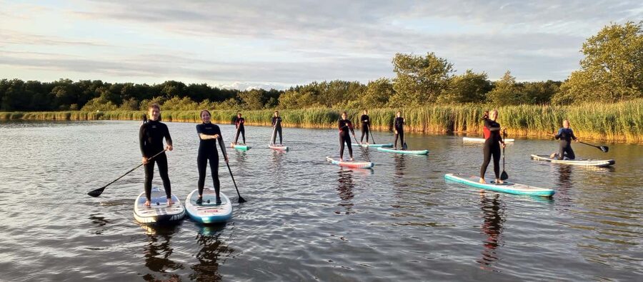 Prerow: Standup paddle sunset tour with picnic - One Hour of SUP, With Wildlife Along the Way