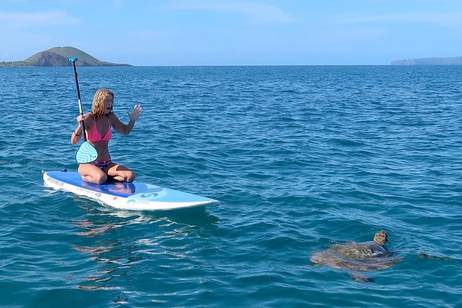 Private Beginner Paddleboard 101 Lesson: Makena Landing! - Turtle Town from a paddleboard