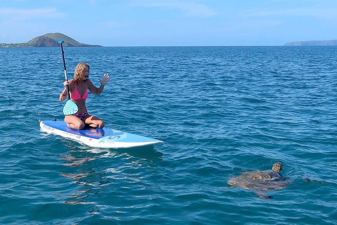 Private Beginner Paddleboard Lesson with Snorkel in Turtle Town - Paddling the Wailea Coastline With a Private Guide
