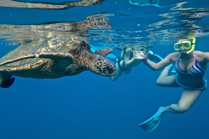 Private Beginner Paddleboard Lesson with Snorkel in Turtle Town - Why the Private Format Works for Families