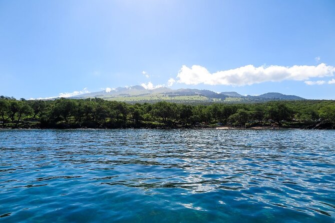 Private Beginner Paddleboard Lesson with Snorkel in Turtle Town - Should You Book It?