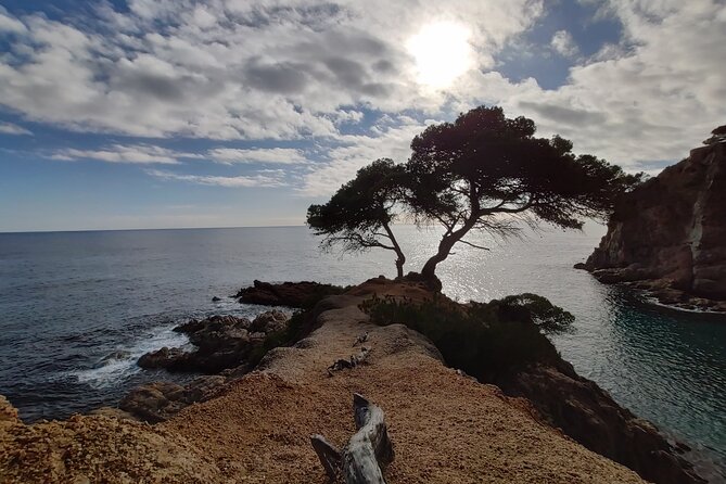 Private Costa Brava Kayak Experience with Snorkel from Barcelona - From Barcelona streets to the Costa Brava coast