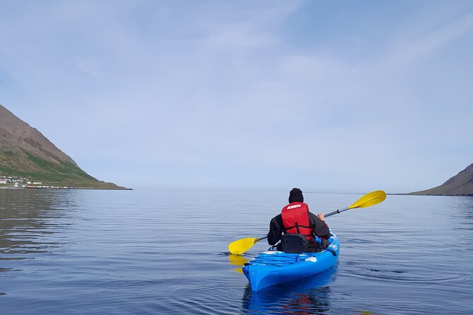 Private: Guided kayak tour in Siglufjörður / Siglufjordur. - Key points to know before booking