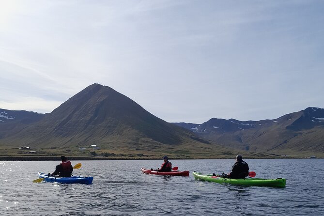 Private: Guided kayak tour in Siglufjörður / Siglufjordur. - Paddling toward the shipwreck