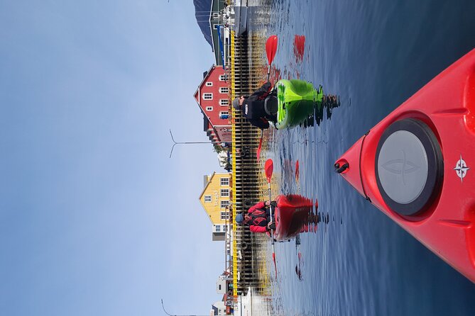 Private: Guided kayak tour in Siglufjörður / Siglufjordur. - The guide’s role makes the difference