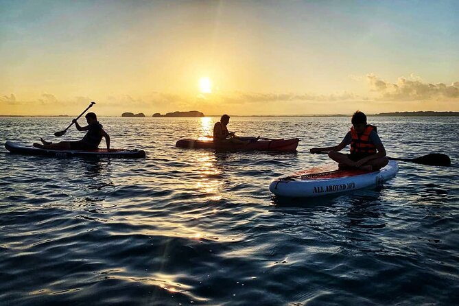 Private Paddle Tour at Sunrise - Watching sunrise near Bird Island