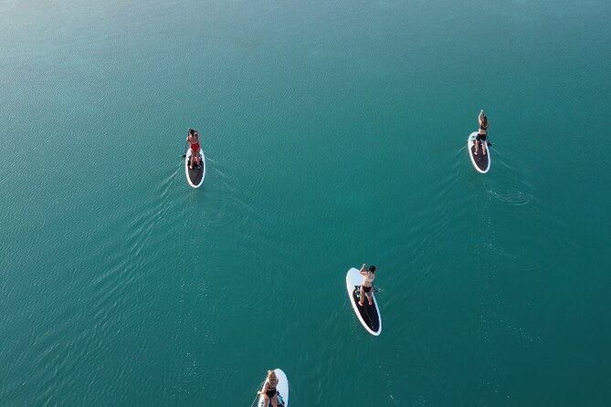 Private Paddleboard Experience in Bacalar - Is $32.86 Good Value?