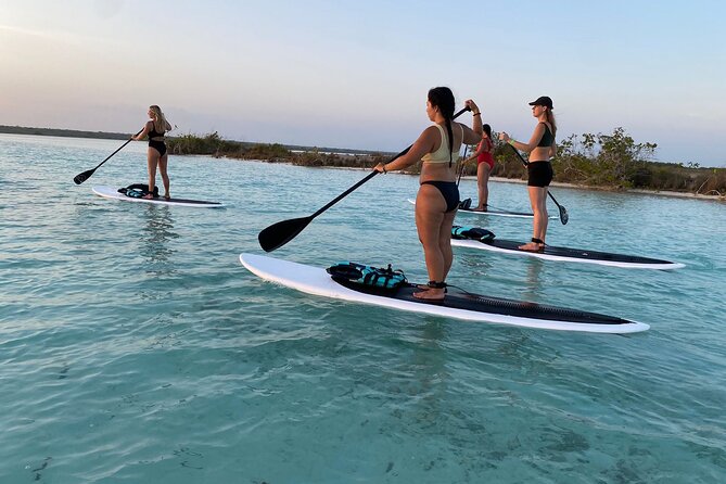 Private Paddleboard Experience in Bacalar - Bird Island: A Nature-Focused First Stop