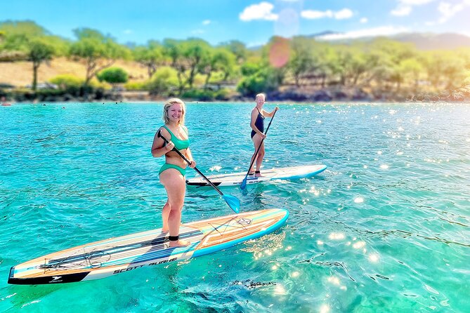 Private Stand Up Paddle Boarding Tour in Turtle Town, Maui - Meeting sea turtles without rushing the moment