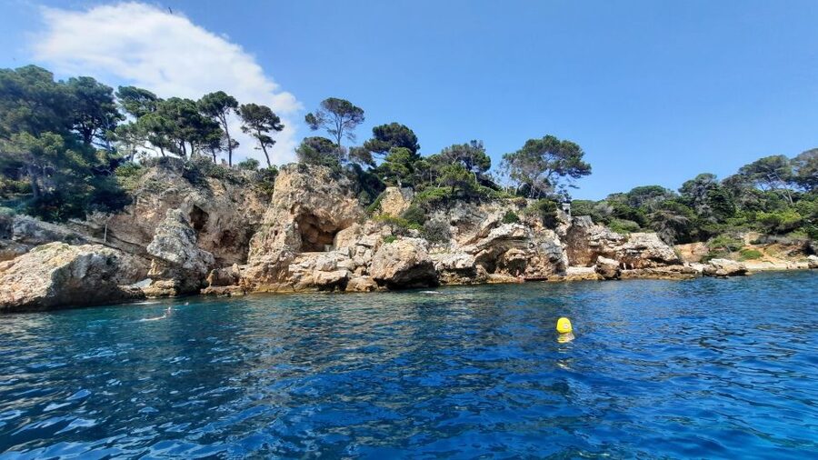 Private tour on a sailboat - Swim and paddle - Antibes Cape - What the $752 price really gets you