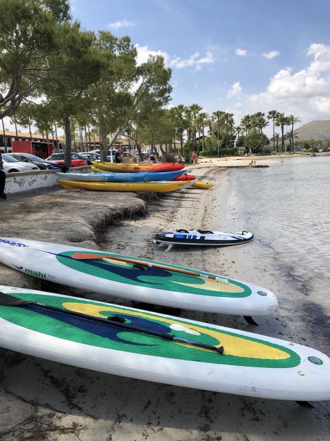 Puerto de Alcudia: Stand-Up Paddleboard Lesson - Key points to know before booking