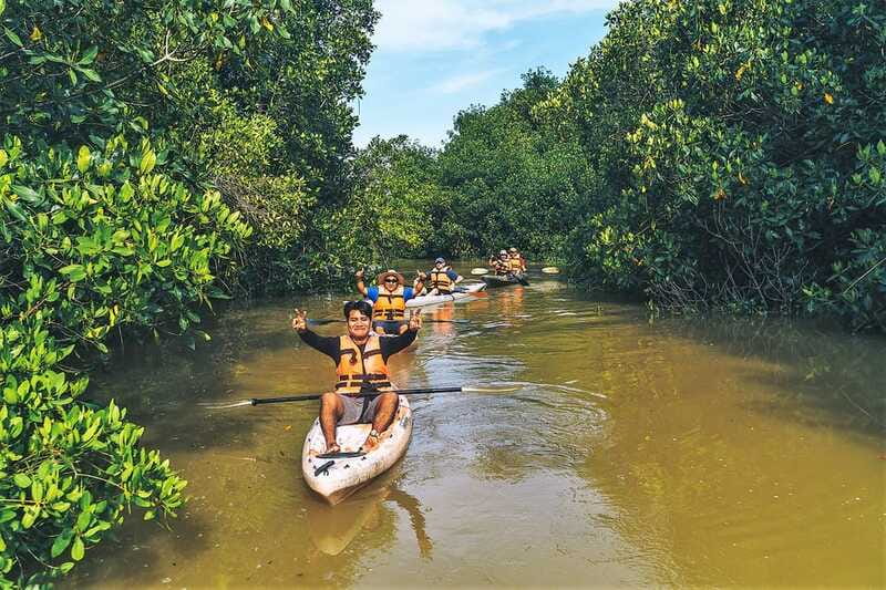 Puerto Escondido: Kayak Adventure On Manialtepec Lagoon - Paddling into the mangrove channels