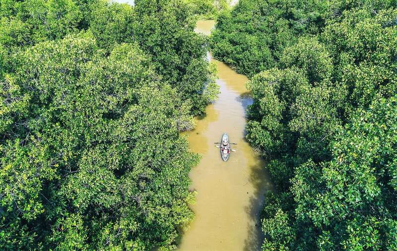Puerto Escondido: Kayak Adventure On Manialtepec Lagoon - How much value you get for $110