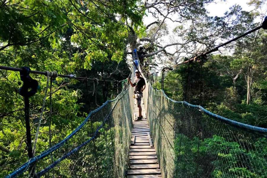 Puerto Maldonado: Jungle Adventure |Zipline + Canopy + Kayak - Two short zip lines with a trained team