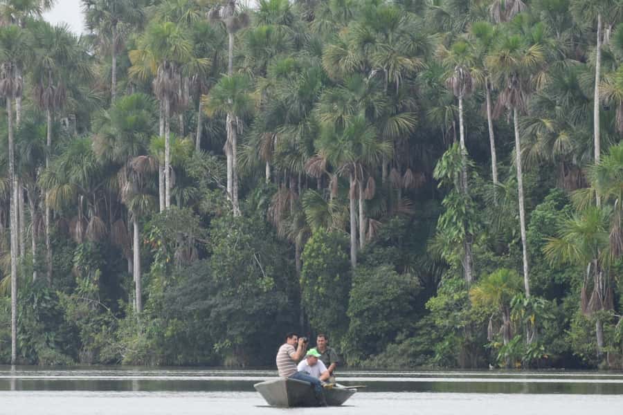 Puerto Maldonado: Sandoval Lake Full-Day Trip with Canoeing - The 55-Minute Walk to Sandoval Lake