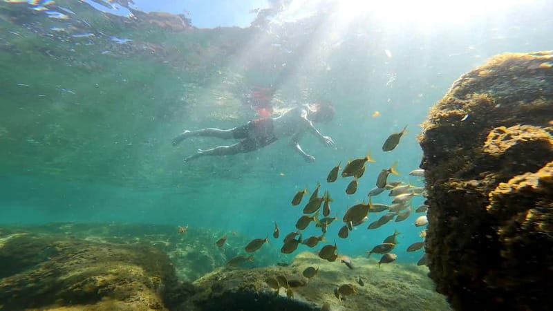 Puerto Mogán: Guided Adventure Kayak Tour in Caves & Snorkel - Why this Mogán kayak tour feels different