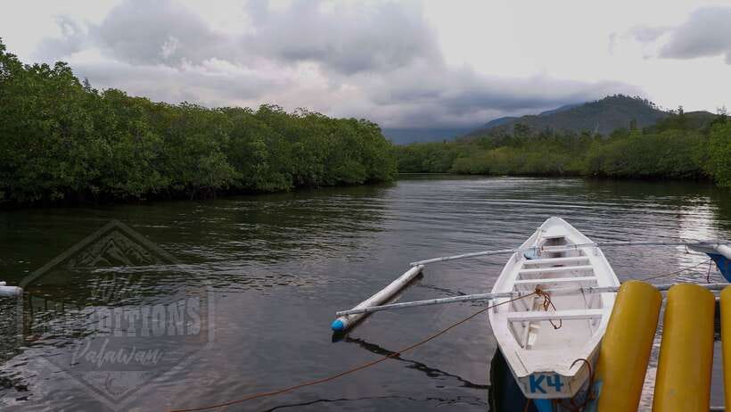 Puerto Princesa: Firefly Watching Paddle Boat Tour & Dinner - Key points to know before booking