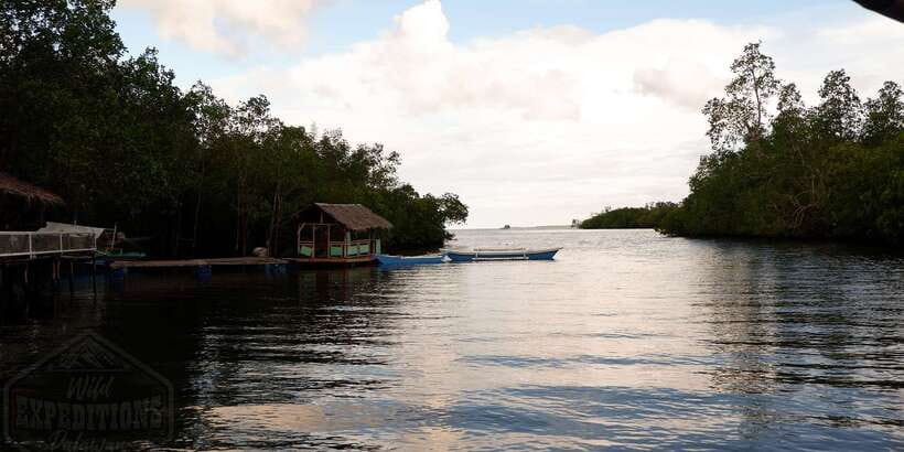 Puerto Princesa: Firefly Watching Paddle Boat Tour & Dinner - What the $27 price really covers