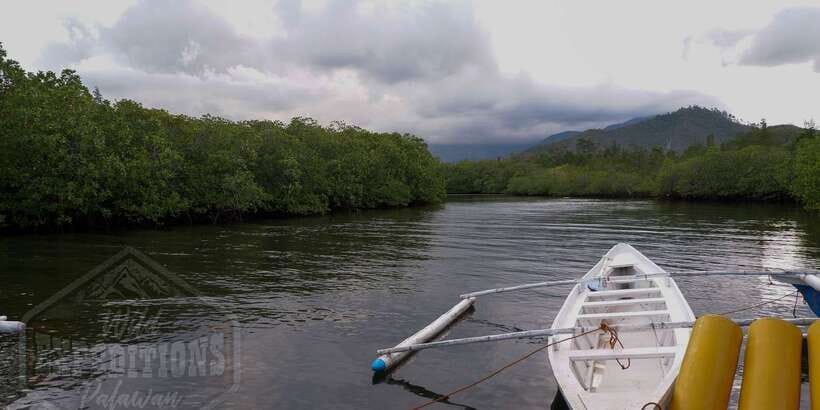 Puerto Princesa: Firefly Watching Paddle Boat Tour & Dinner - What I like most, and what gives me pause