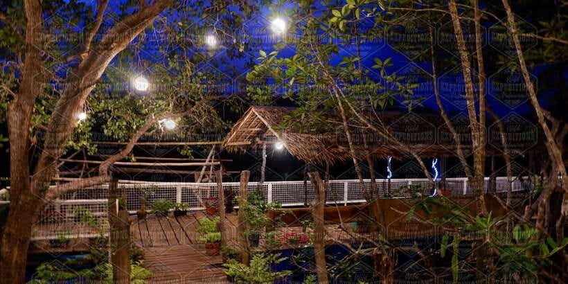 Puerto Princesa: Firefly Watching Paddle Boat Tour & Dinner - Who should book this Puerto Princesa firefly tour