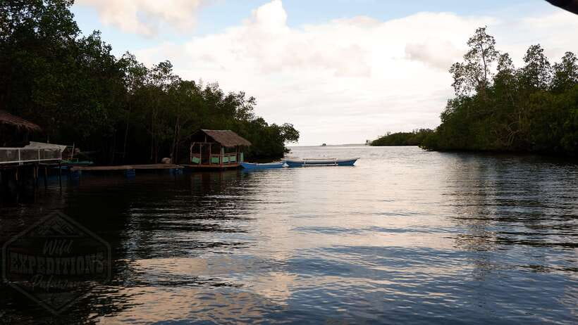 Puerto Princesa: Firefly Watching Paddle Boat Tour & Dinner - From your hotel to Baywalk between 5:00 and 7:00 pm