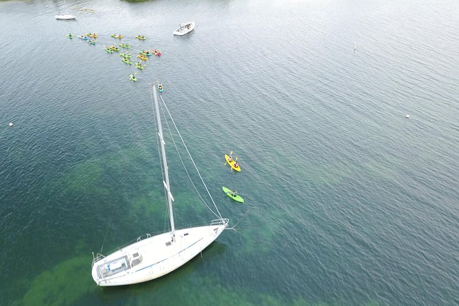 Puerto Rico Bio Bay Kayak Adventure Tour - What the guides add to the experience