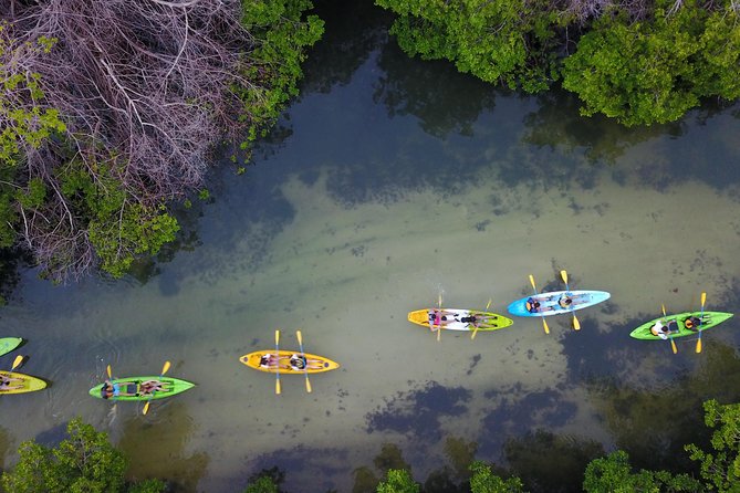 Puerto Rico Bio Bay Kayak Adventure Tour - Pairing, fitness, and family rules