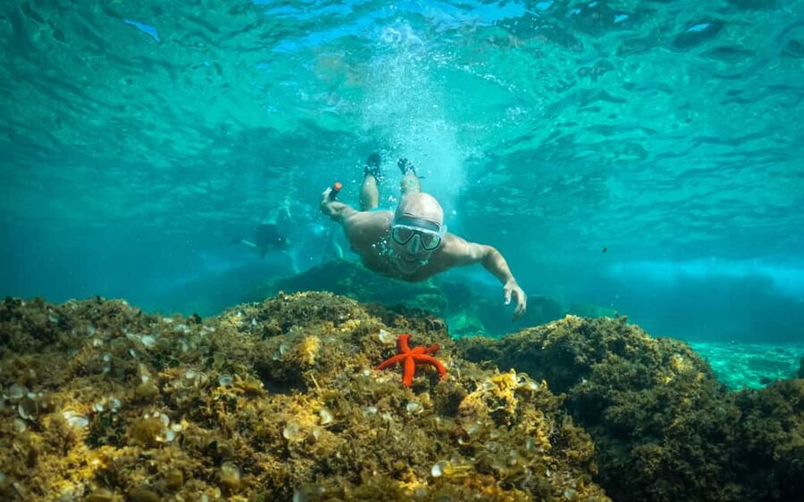 Pula: Kayaking,Snorkeling, Cliff jumping Tour with Wetsuit - Finding Zelenika Beach and getting ready