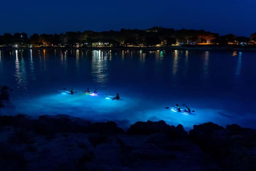 Pula: Night Kayak Tour with Glowing Kayaks - Why the transparent kayaks make a difference