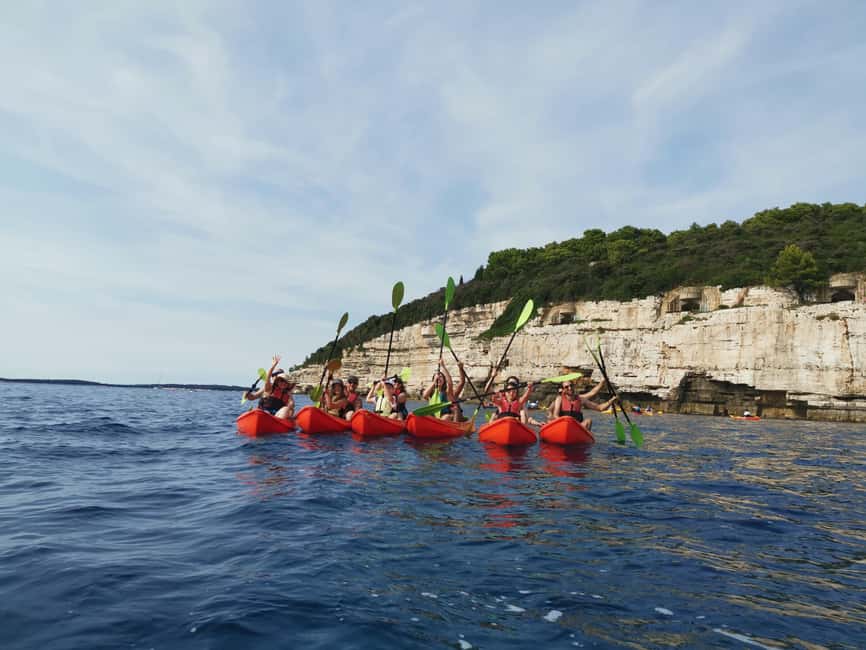 Pula: Sea Adventure – Boat, Kayak, Snorkeling & Cliff Jumps - Dolphins, seabirds, and realistic wildlife expectations