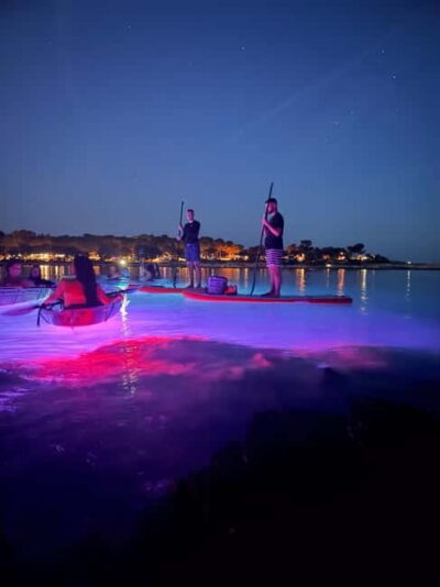 Sunset/Night Illuminated Transparent Kayak Tour