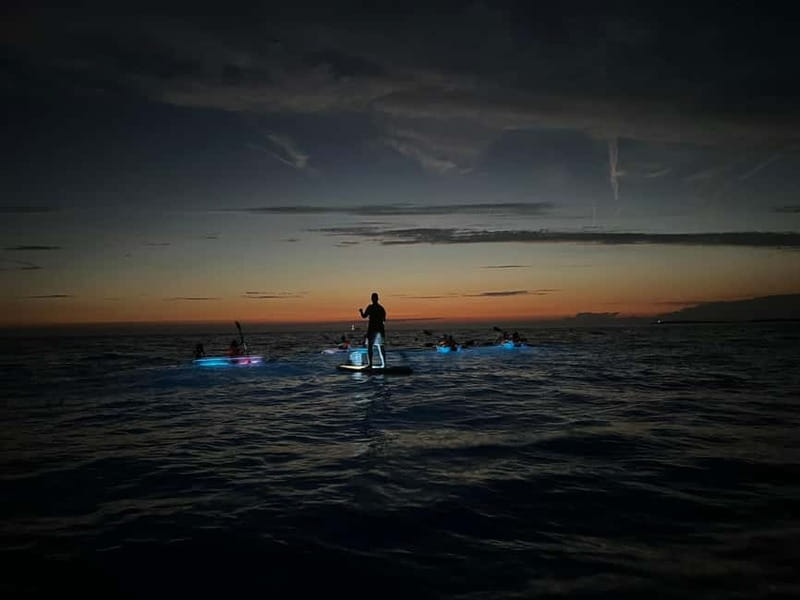 Pula: Sunset/Night Illuminated Transparent Kayak Tour - Guides, group size, and safety