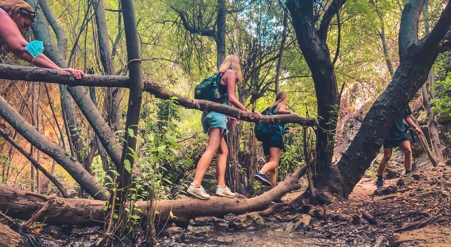 Punta Cana: Los Haitises Hike & Kayaking Mangroves - Why Los Haitises makes a good day trip from Punta Cana