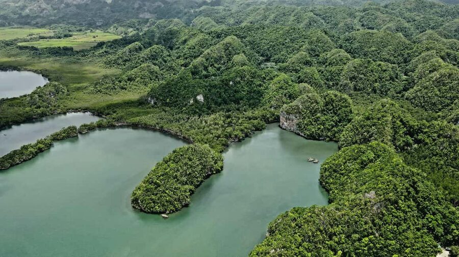 Punta Cana: Los Haitises Hike & Kayaking Mangroves - Guides, group pace, and communication